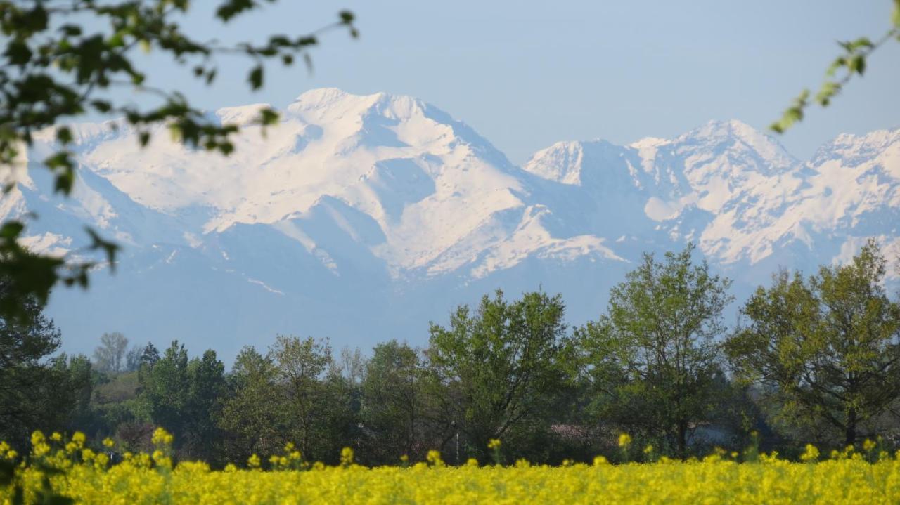 Gite La Tourasse Les Tournesols Lamasquere 외부 사진